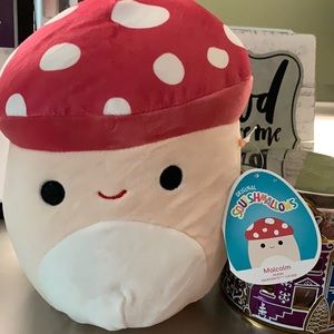 Mushroom Malcolm squish mallow